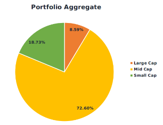 portfolio allocation