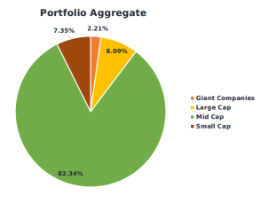 portfolio allocation