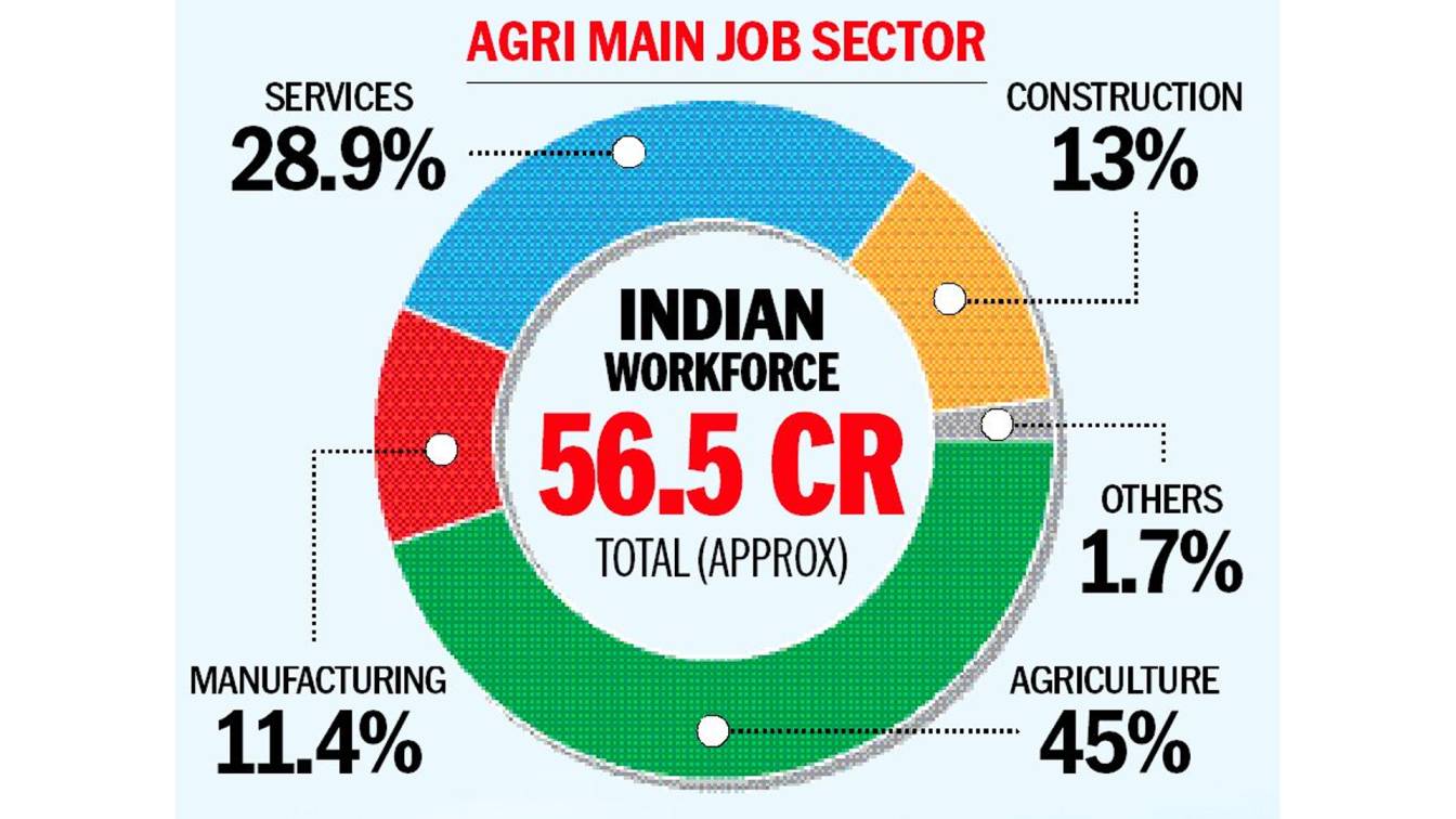 What Does It Reveal About Employment