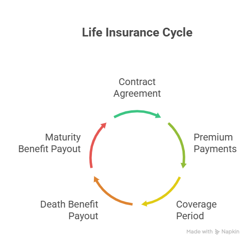 Life Insurance Life Insurance