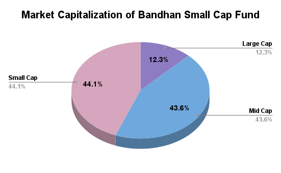 Market Cap Allocation